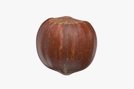 Preview: Shelled Hazelnut