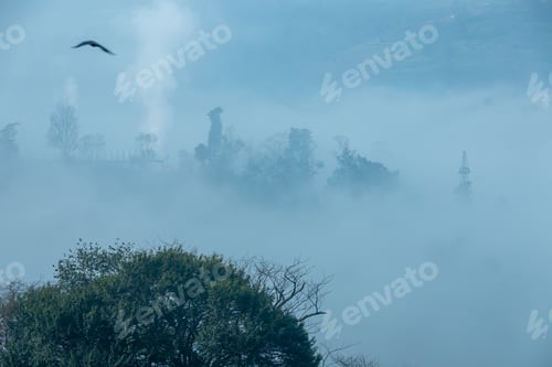 Preview: Foggy