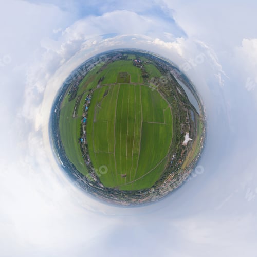 Preview: Fresh paddy rice, green agricultural field in countryside or rural area in Asia. Nature landscape.
