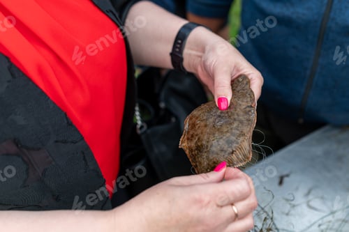 Preview: A person holds a freshly caught fish with a unique texture during a fishing event at a local market