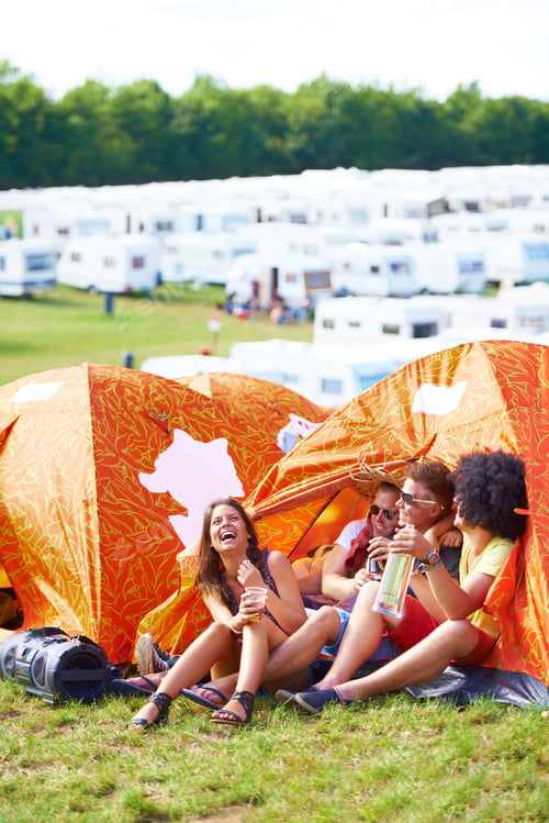 Preview: Campsite companions