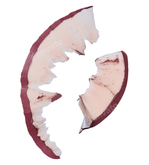Preview: Wood shavings from a red pencil on an isolated background