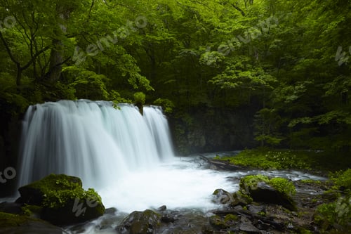 Preview: Long exposure of rocky waterfall surrounded by trees with lush green foliage.