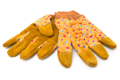 Preview: Yellow gloves