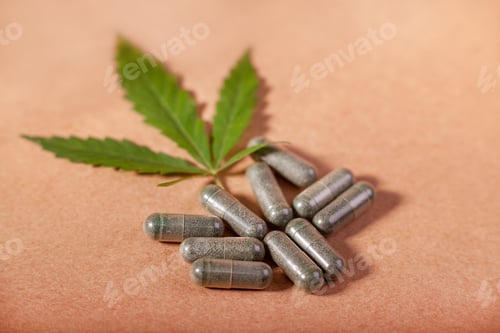 Preview: Capsules with hemp powder, branches with hemp leaves on craft paper and natural stone