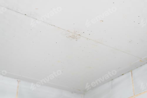 Preview: Dark dirty stains, bacteria and fungus on the white plastic ceiling indoors