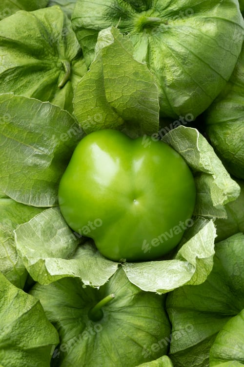 Preview: Single fresh peeled green tomatillo in a husk close up