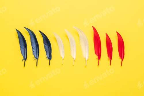 Preview: a red white and blue bird feathers flat lay, creative simple concept