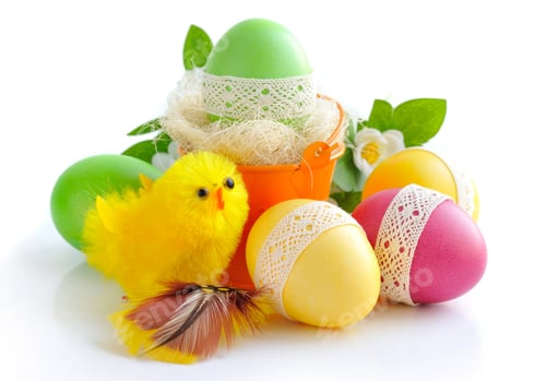 Preview: Easter Eggs and Chicken on white background