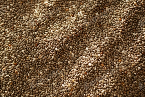 Preview: Chia seeds spread across a textured surface