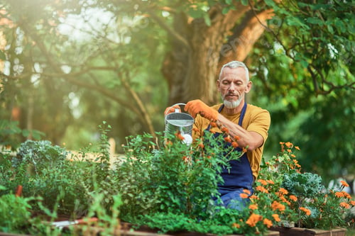Preview: Cheerful middle aged caucasian man watering plants