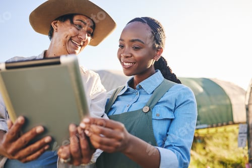 Preview: Farm, agriculture and women on tablet in field, countryside or nature for internet, research and gr
