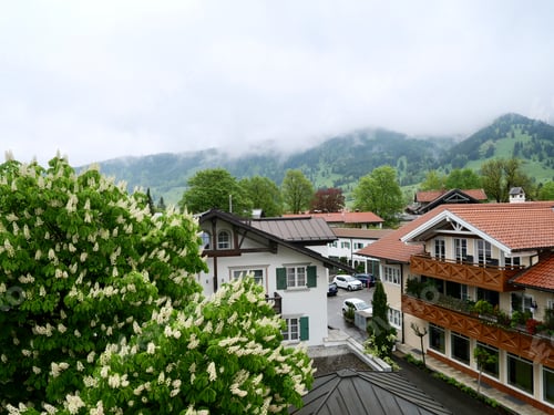 Preview: German village with green nature
