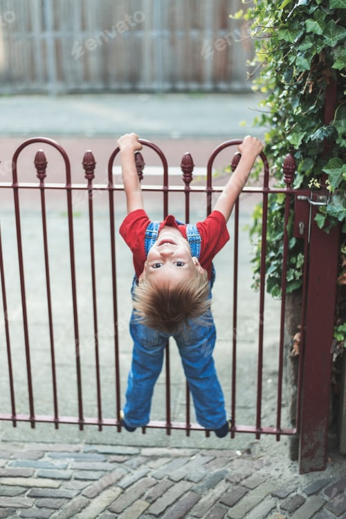 Preview: A boy hanging on the garden gate.