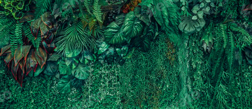 Preview: Close up group of background tropical green leaves texture and abstract background.