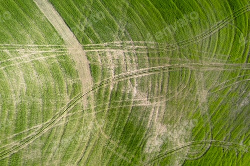 Preview: Drawings left behind after working the land in Tuscany Italy