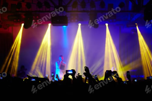 Preview: Crowd of Fans at Music Concert