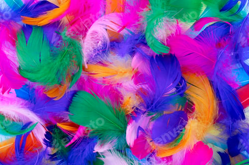 Preview: Colorful pattern made of feathers.
