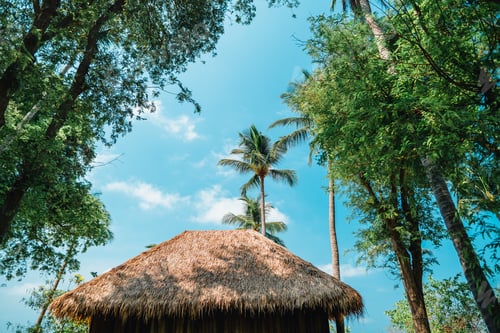 Preview: Tropical beach and coconut tree at koh tao