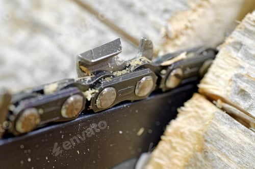 Preview: Chain saw and sawn log