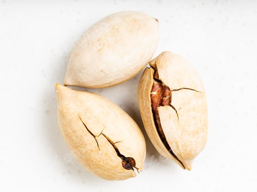 Preview: few cracked pecan nuts close up on gray