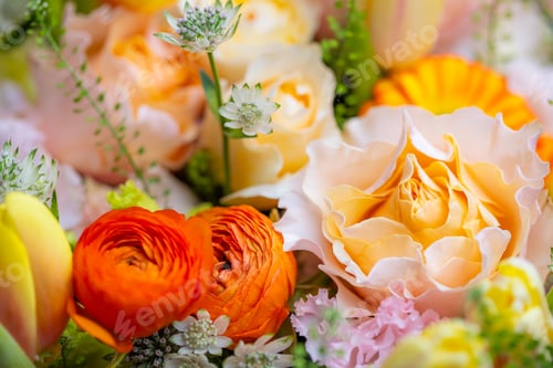 Preview: Set of flower box with different flower