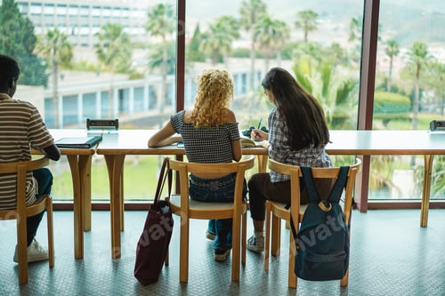 Preview: Young students studying inside university library - Focus on girls back