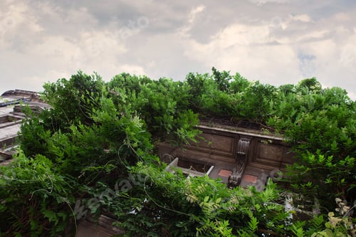 Preview: Urban nature in the center of Bordeaux in France