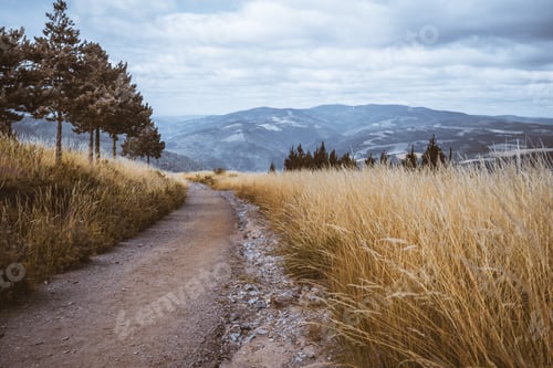 Preview: Mountain trail through golden grass