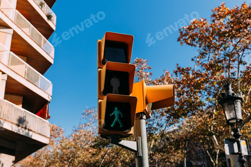 Preview: traffic light with green signal, house and trees on background