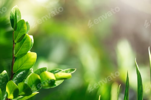 Preview: Creative Lush Green Leaves Pattern Nature Texture Background