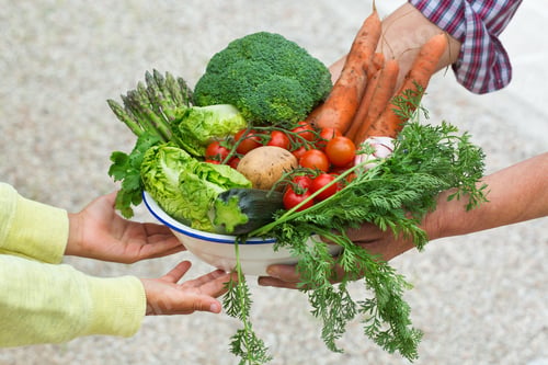 Preview: Assortment or farmer market bio organic ripe vegetables in hands