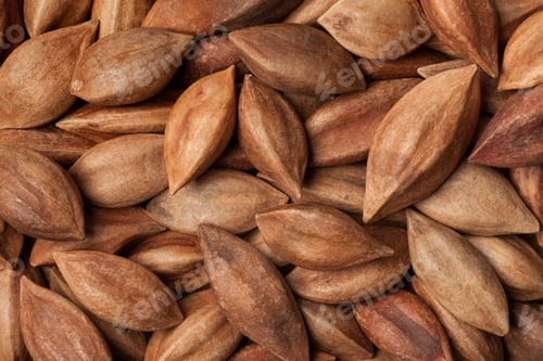 Preview: Unshelled pili nuts full frame