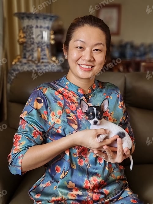 Preview: Portrait of an Asian woman holding her cute pet chihuahua puppy