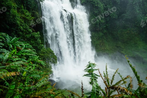 Preview: Waterfall in the forest in bolaven plateau Laos