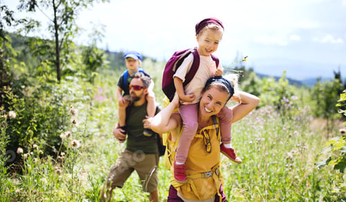 Preview: Family with small children hiking outdoors in summer nature