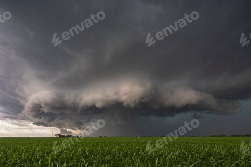Preview: Storm cloud structure in the sky over a corn field with a green crop, billowing clouds.