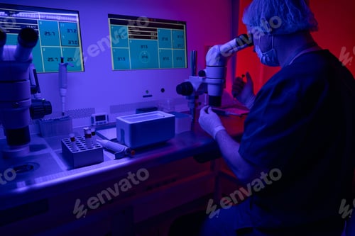 Preview: Genetic laboratory worker studying embryos before cryopreservation
