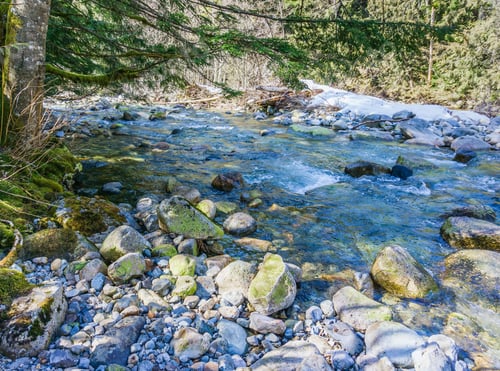 Preview: Clear Water Flows Over And By Rocks In Denny Creek In Washington State.