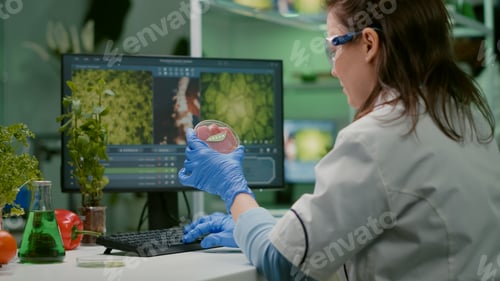 Preview: Chemist woman analyzing vegan beef meat for biochemistry experiment