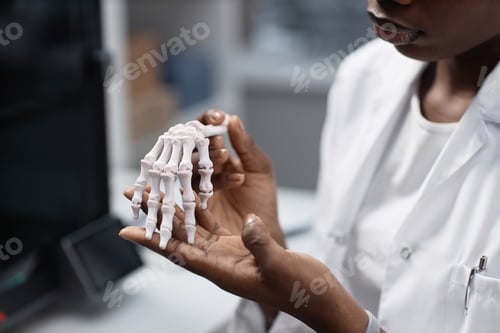 Preview: Engineer Holding 3D Hand Bone Model