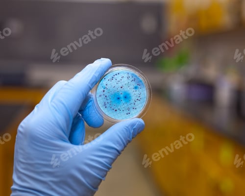 Preview: Bacteria