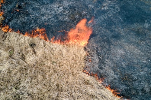 Preview: Aerial view of grassland field burning with red fire during dry season.