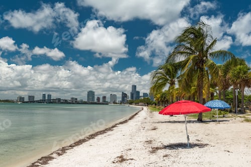 Preview: Beach umbrellas on the sandy Coconut beach on a clear sunny day in Florida, United States