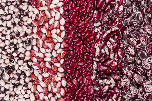 Preview: Beautiful multicolored beans close-up on a concrete background