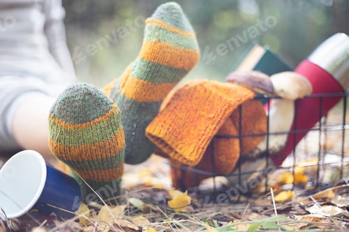 Preview: beautiful autumn still life