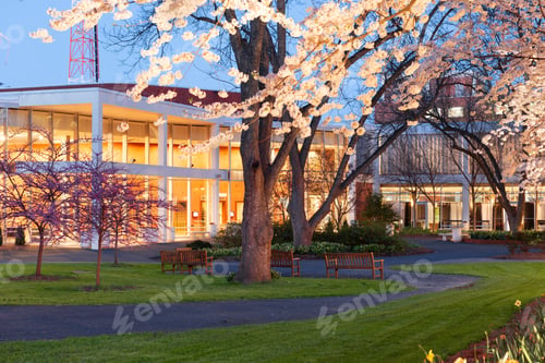 Preview: Campus Spring Time Landscape