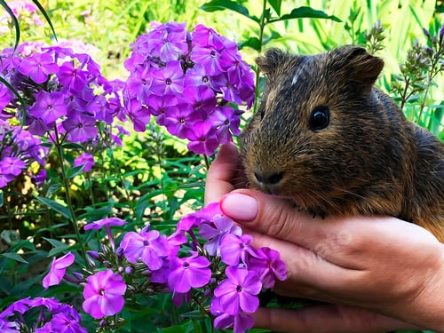 Preview: 🔥NOMINATED ALREADY 🔥