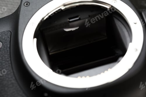 Preview: digital SLR camera