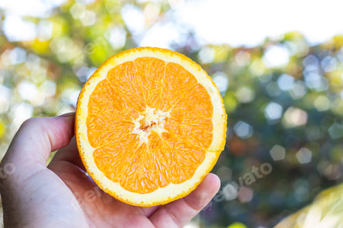 Preview: orange